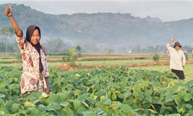 Ketersediaan Kedelai Nasional dan Industri Pengolahan Kedelai