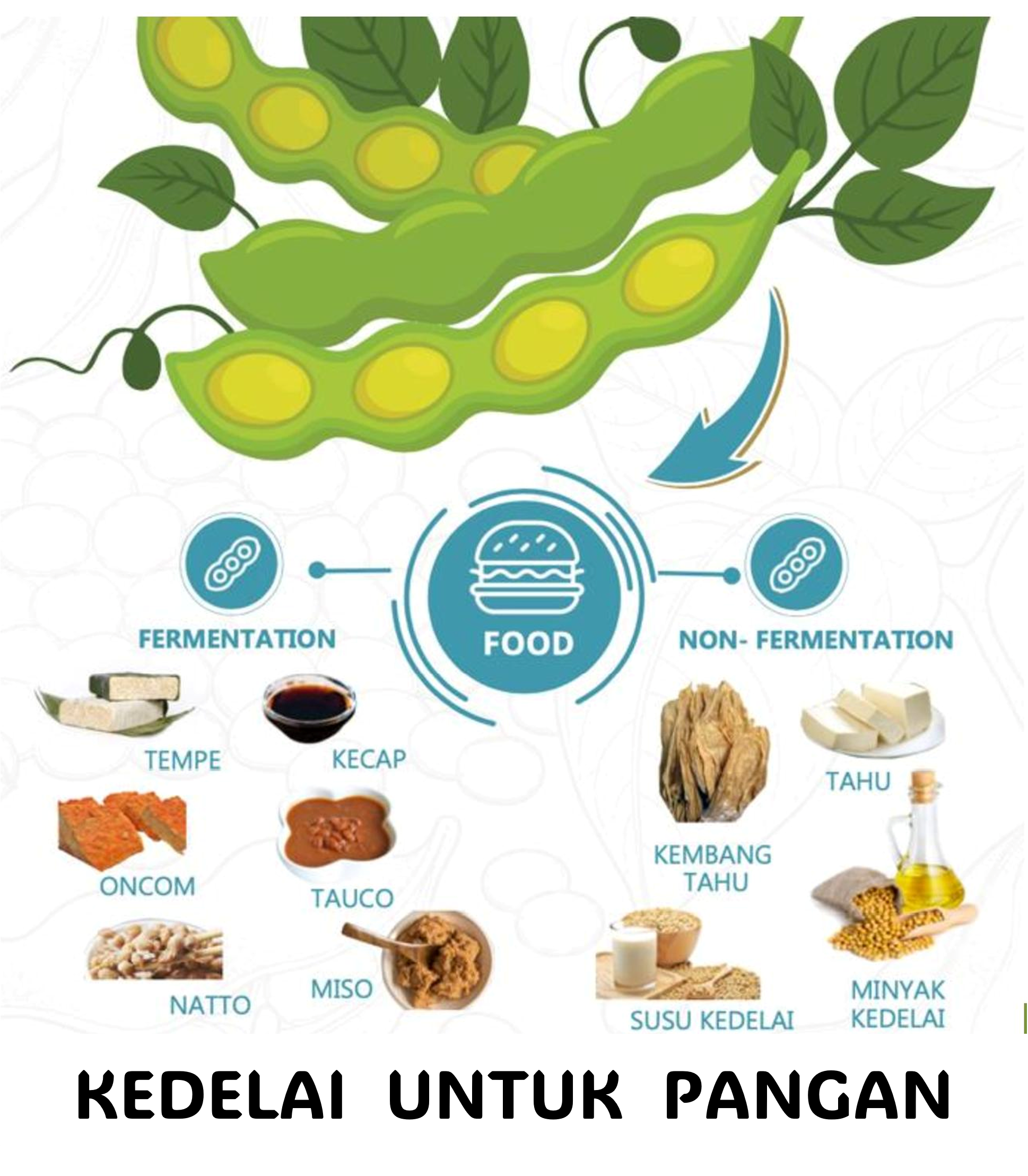 Hal yang Belum Banyak diketahui Kita-Kita,  Keunggulan Kedelai Petani Indonesia  