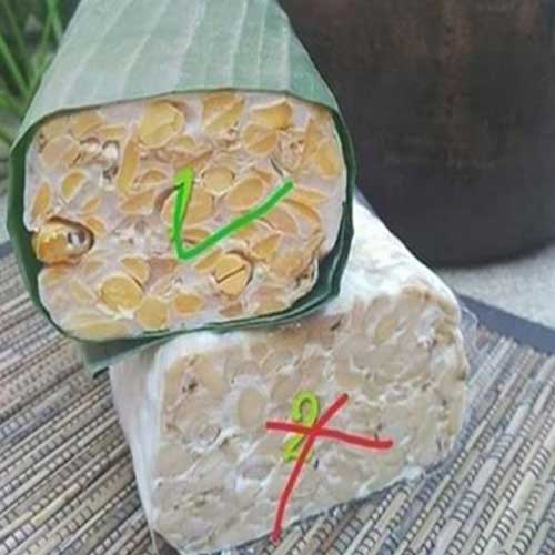 Viral Tempe dari Kedelai Lokal dan Impor